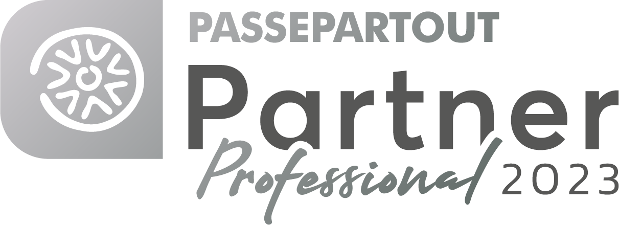 professional-partner-23
